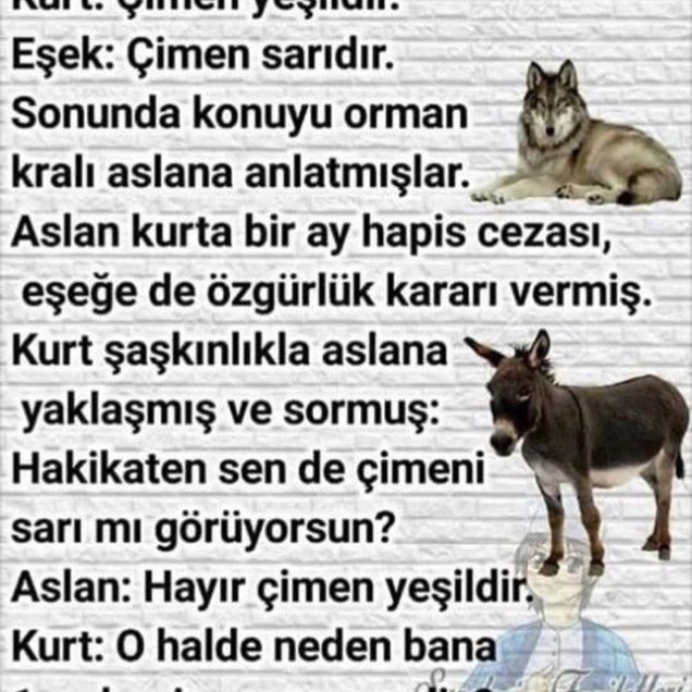 kahve fotografı