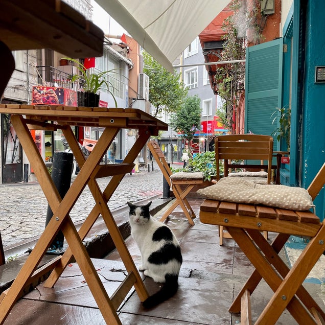 kahve fotografı