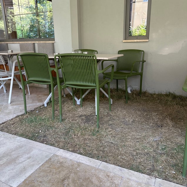kahve fotografı