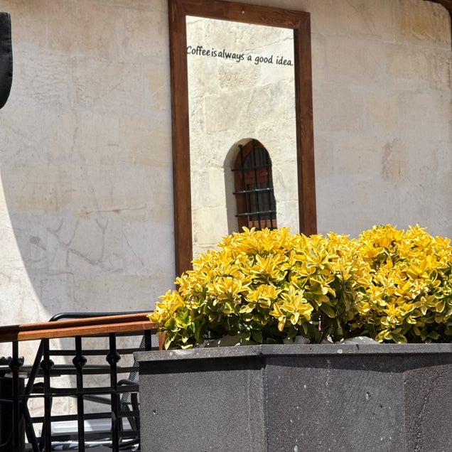 kahve fotografı