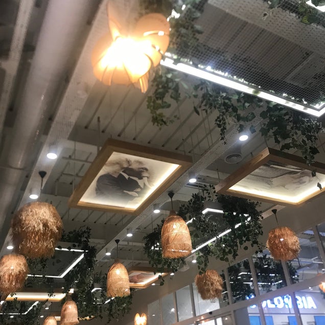 kahve fotografı
