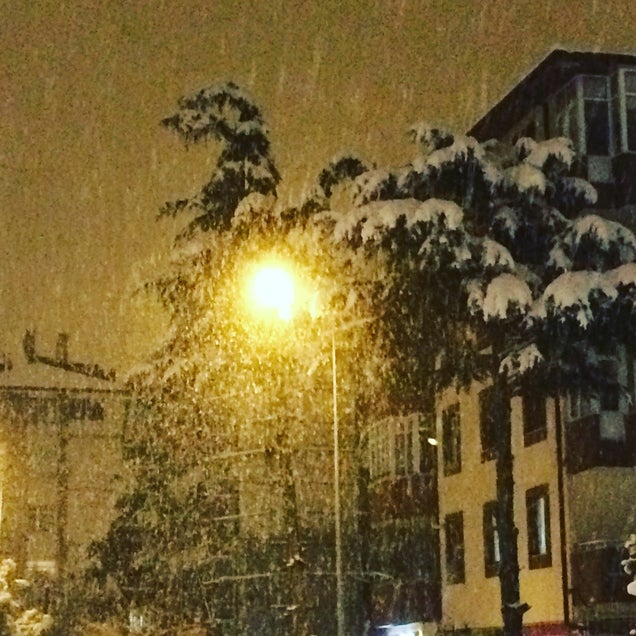 kahve fotografı
