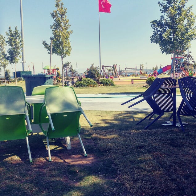 kahve fotografı