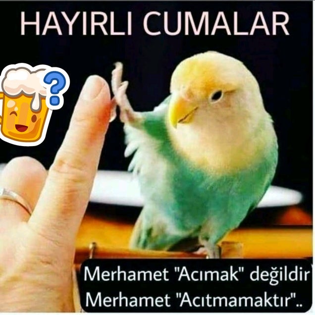kahve fotografı