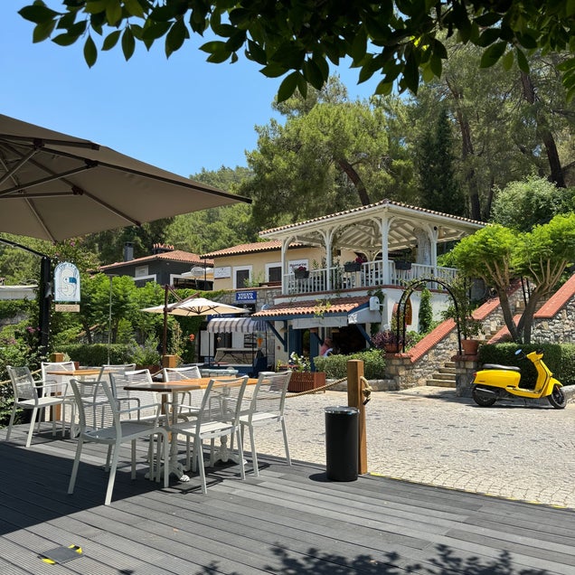 kahve fotografı