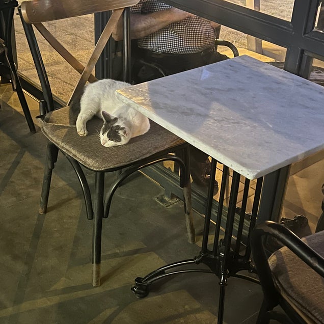 kahve fotografı