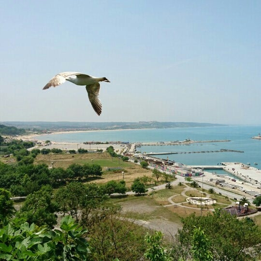 kahve fotografı