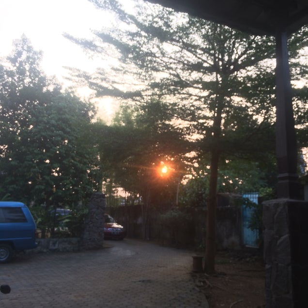 kahve fotografı