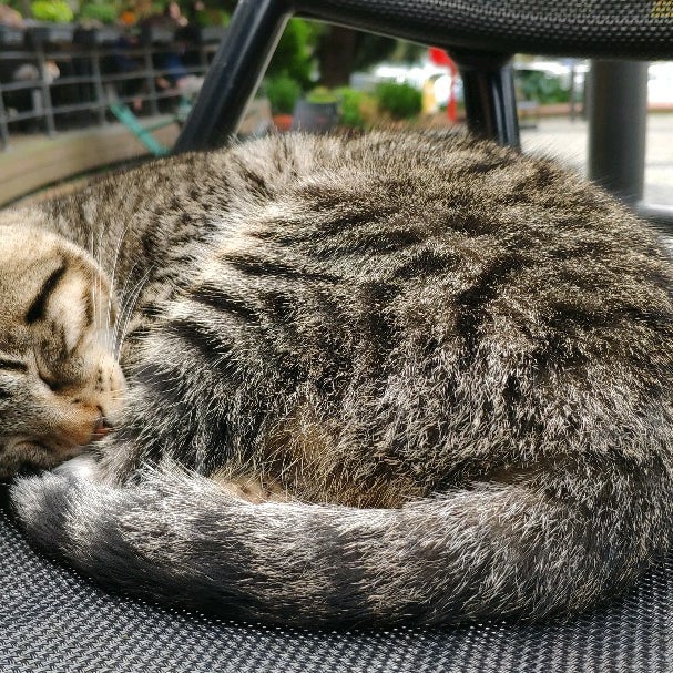 kahve fotografı