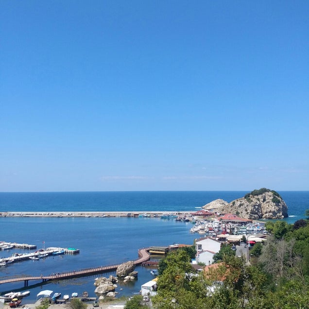 kahve fotografı