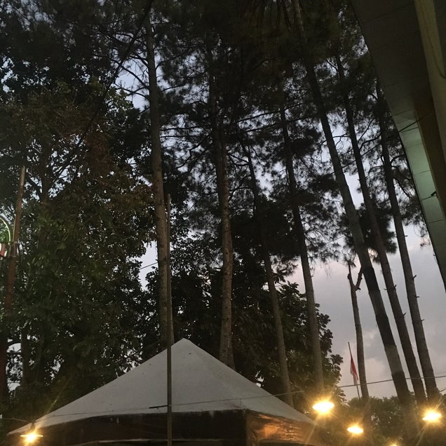 kahve fotografı