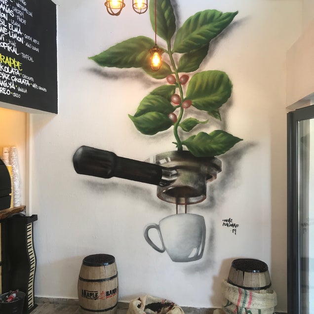 kahve fotografı
