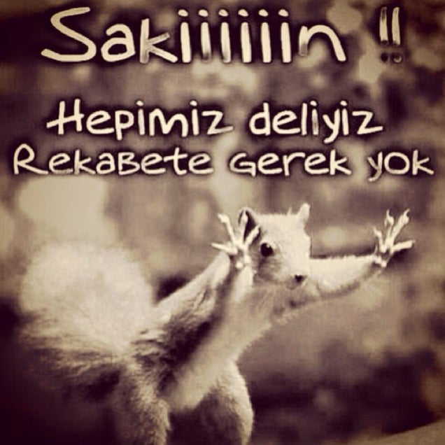 kahve fotografı