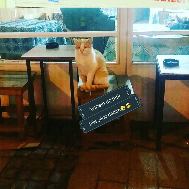kahve fotografı