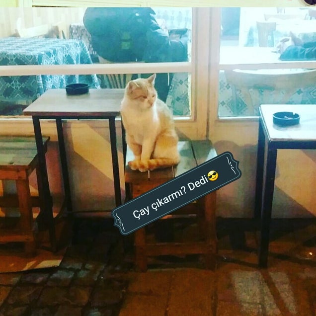 kahve fotografı