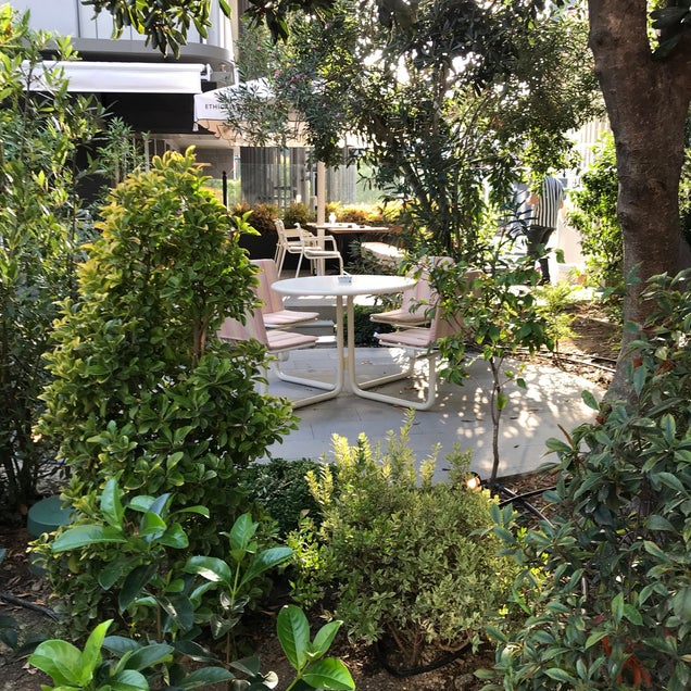 kahve fotografı