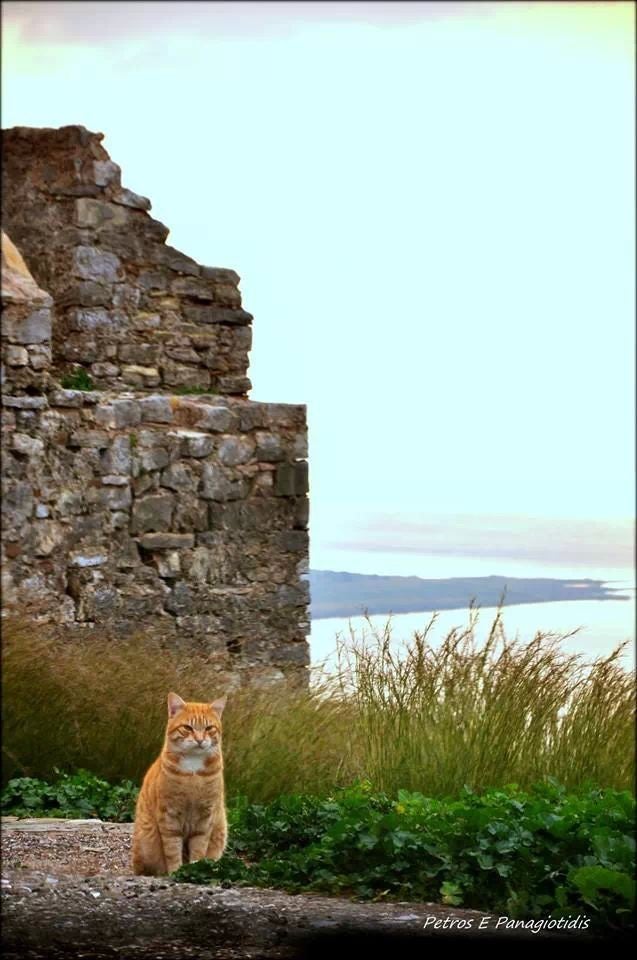castle