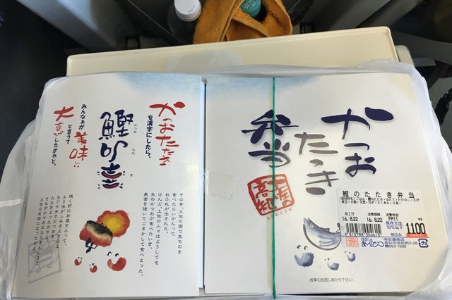 ローカル線で巡る 高知の自然を満喫する電車の旅 高知 高知 安芸の旅行モデルコース こころから