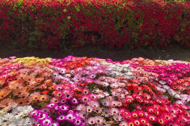 観光も温泉も楽しみたい方に 淡路島の自然を満喫するドライブ旅 兵庫 淡路島の旅行モデルコース こころから 観光も温泉も楽しみたい方に 淡路島の自然を満喫するドライブ旅 兵庫 淡路島の旅行モデルコース こころから