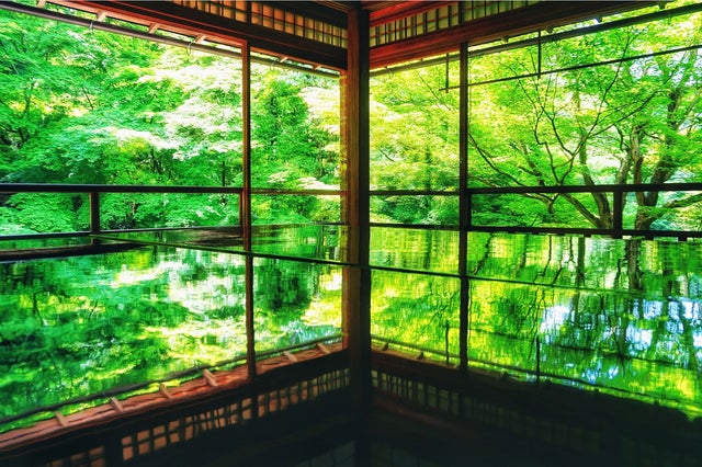 京都の奥座敷で青もみじに癒やされる新緑さんぽ旅｜京都｜鞍馬・貴船