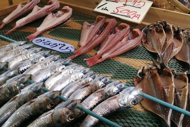 全国で一番早い日の出を望み 海鮮を満喫する銚子の旅 こころから 全国で一番早い日の出を望み 海鮮を満喫する銚子の旅 こころから