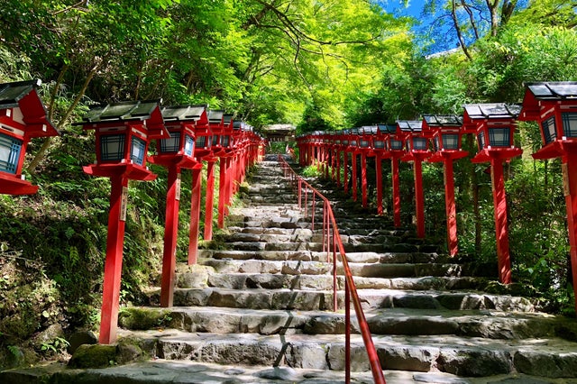 京都の奥座敷で青もみじに癒やされる新緑さんぽ旅｜京都｜鞍馬・貴船