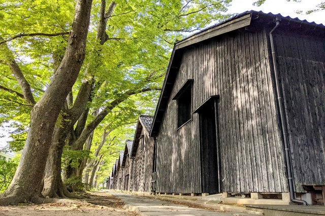 豊かな自然と歴史が育んだ 山形の古き良き街並みを巡る旅 山形 酒田 鶴岡の旅行モデルコース こころから