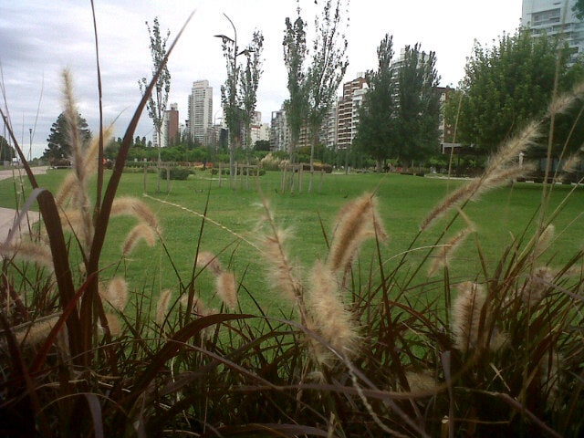 park