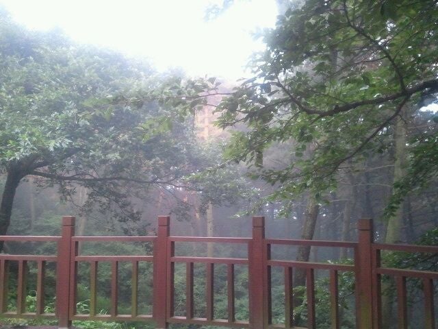 trail