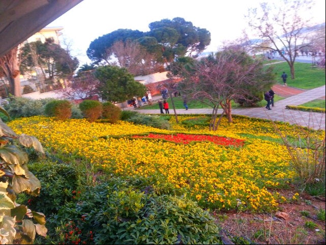 park