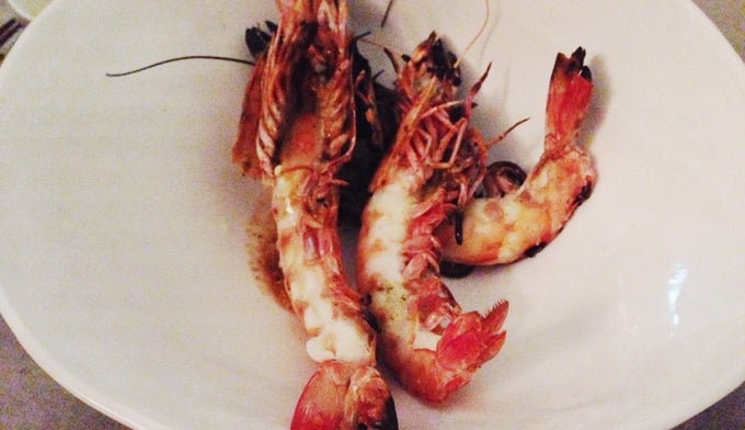 the 15 best places for jumbo shrimp in sydney
