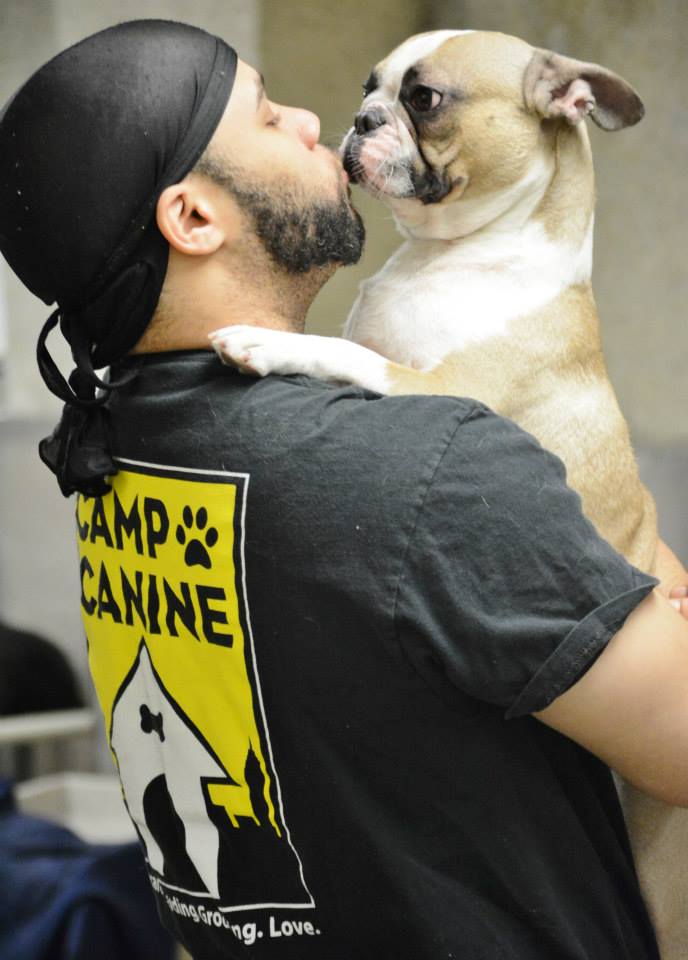 pet-service