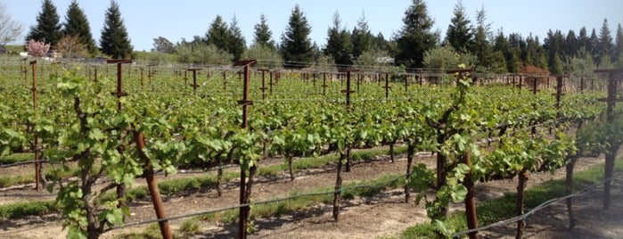 Graton Ridge Cellars is one of Guerneville/Sonoma County!.