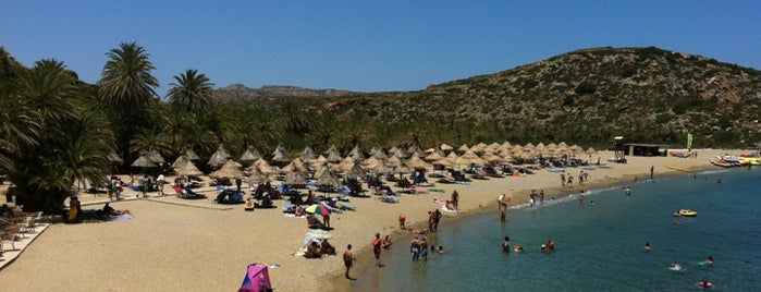 Vai Beach is one of Crète to do.