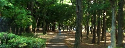 Kinuta Park is one of 東京都立の公園・庭園.