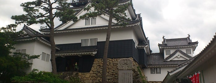 Okazaki Castle is one of 日本 100 名城.
