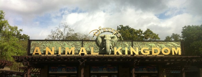 Disney's Animal Kingdom is one of Disney World/Islands of Adventure.