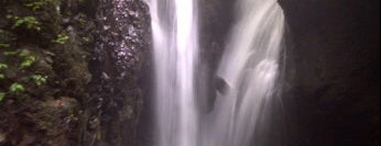 Gitgit Waterfall is one of Bali, Island of the gods.