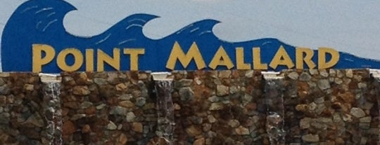 Point Mallard Water Park is one of Tempat yang Disukai The1JMAC.