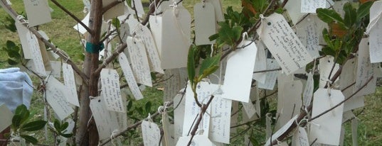 Wish Tree is one of Miami.