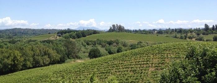 Iron Horse Vineyards is one of Sonoma Wineries.