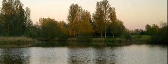 milton keneys lake is one of London.