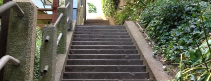 Greenwich Steps is one of Best Stairways in San Francisco.
