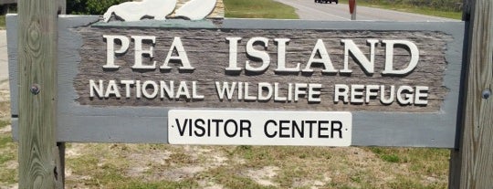 Pea Island National Wildlife Refuge is one of Hatteras Island Attractions.