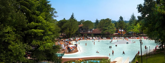 Altomincio Family Park is one of Things to do in Lake Garda.