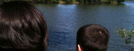 Songbird Slough Forest Preserve is one of Must explore someday.