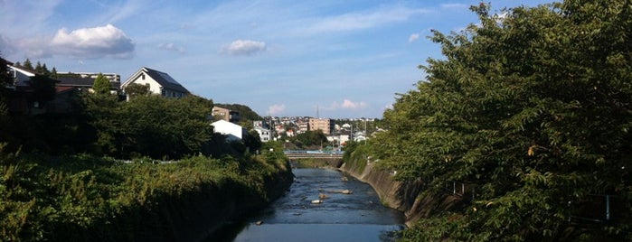 用賀下橋 is one of 帷子川に架かる橋と周辺の公園・史跡.
