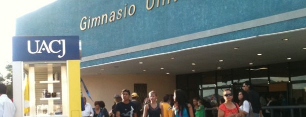 Gimnasio Universitario UACJ is one of Danara : понравившиеся места.