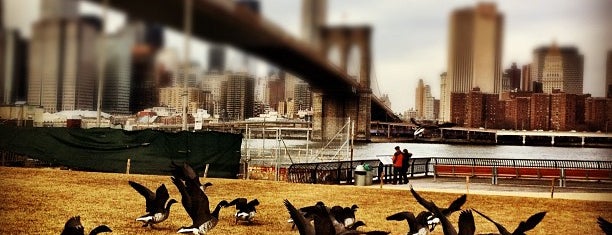 Brooklyn Bridge Park - Pier 1 is one of Park Highlights of NYC.
