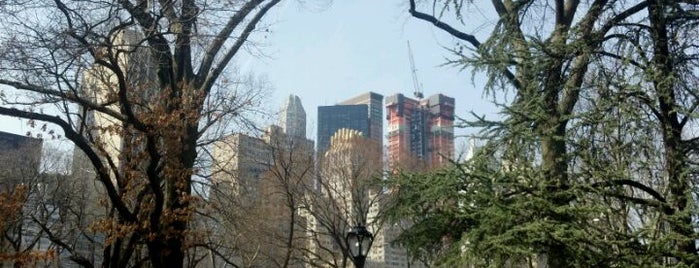 Central Park is one of American dream.